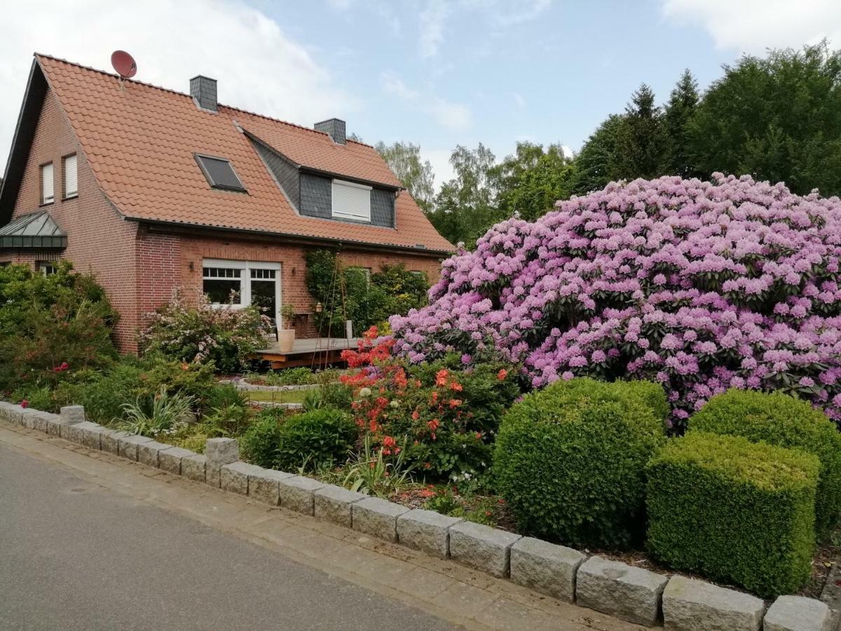 Ferienwohnung Bachmanns Ruh Wietzendorf Zewnętrze zdjęcie
